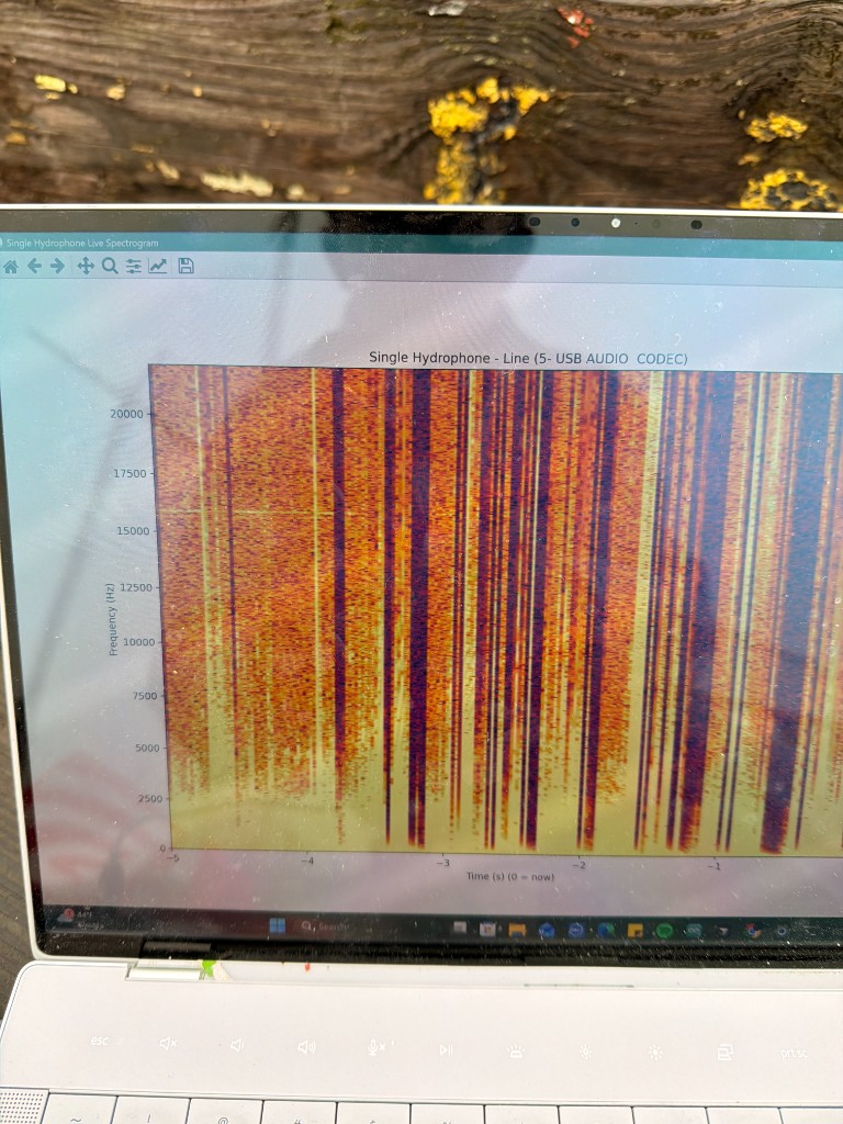 Hydrophone live spectrogram from Philadelphia River field test with submarine participants