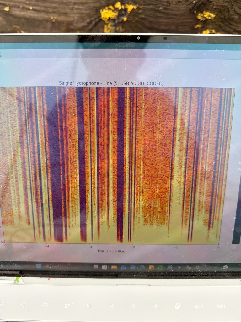 Hydrophone live spectrogram from Philadelphia River field test with submarine participants